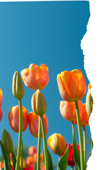 Primavera en España: fiestas, colores y tradiciones